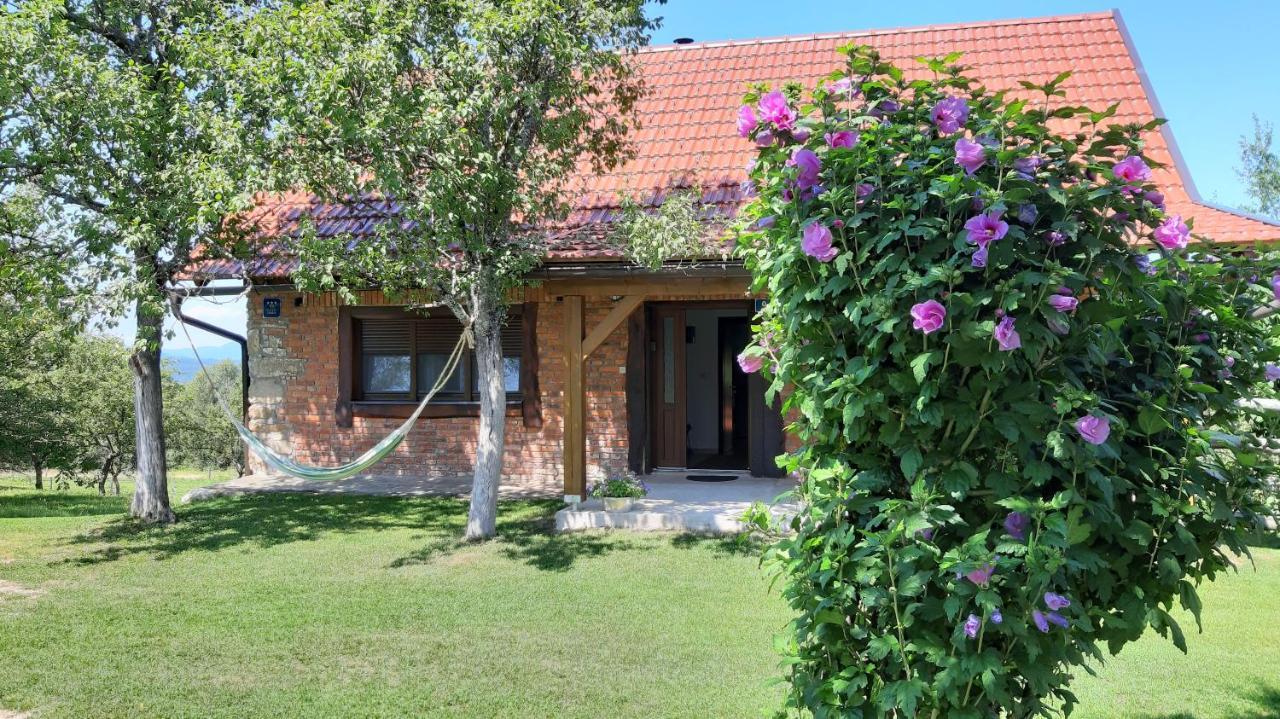 Holiday Home "Sleme" With Jacuzzi, Big Garden And Arbor With Fireplace Skrad المظهر الخارجي الصورة